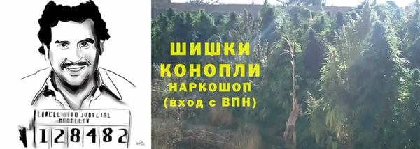 сатива Инта