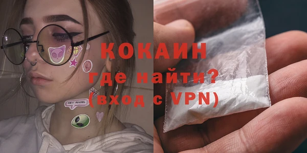 прущие грибы Иннополис