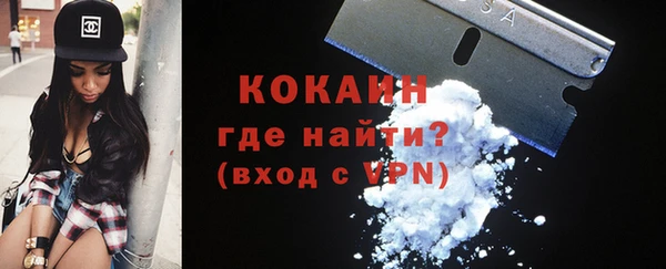 прущие грибы Иннополис
