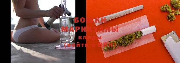 прущие грибы Иннополис