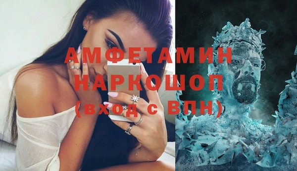 прущие грибы Иннополис