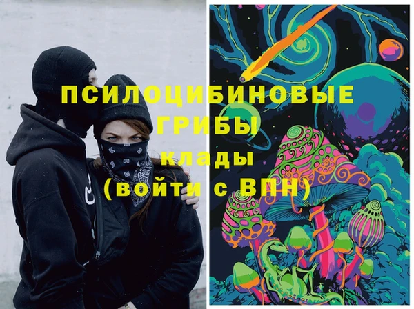 прущие грибы Иннополис