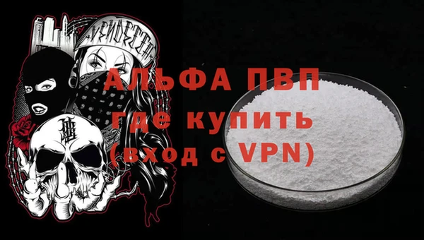 сатива Инта