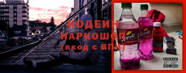 прущие грибы Иннополис