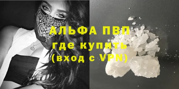 сатива Инта