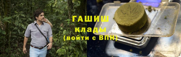 прущие грибы Иннополис
