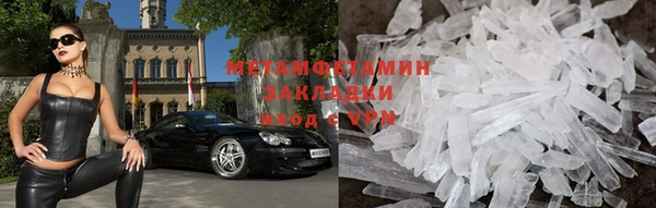 прущие грибы Иннополис
